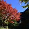 静岡県　宇津谷峠　蔦の細道