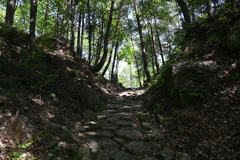 中山道（細久手宿ー大湫宿）