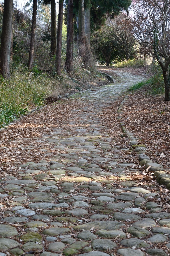 菊川坂