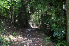 中山道（細久手宿ー大湫宿）
