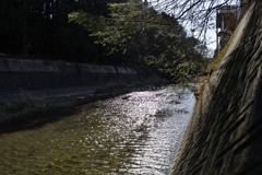 塩井神社