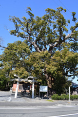 須賀神社