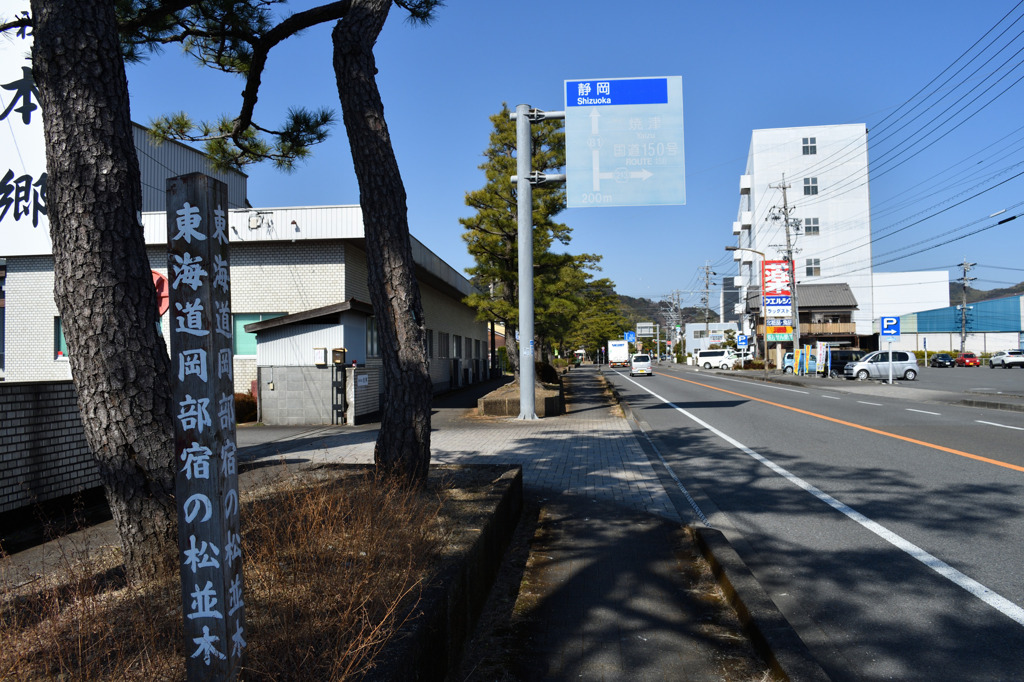 岡部宿の松並木