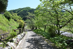 中山道（御嶽宿ー細久手宿）