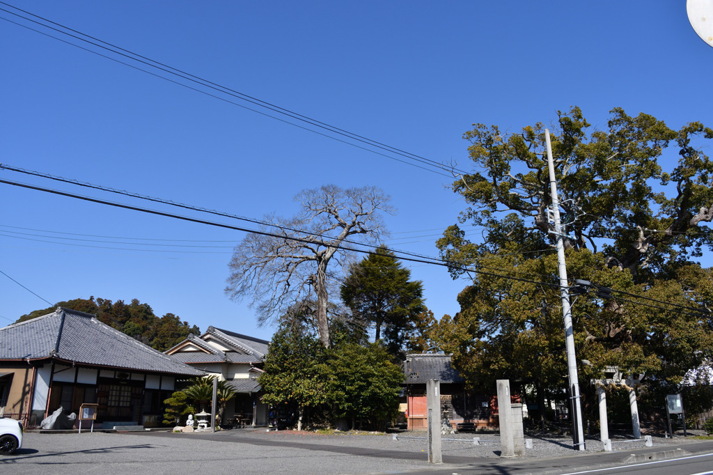 須賀神社
