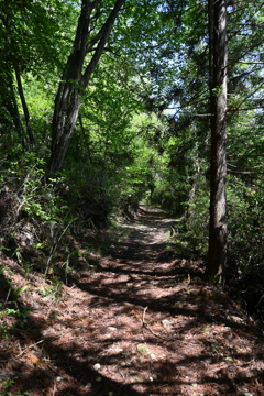 中山道（細久手宿ー大湫宿）