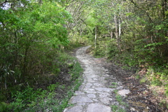 中山道（大湫宿ー大井宿）