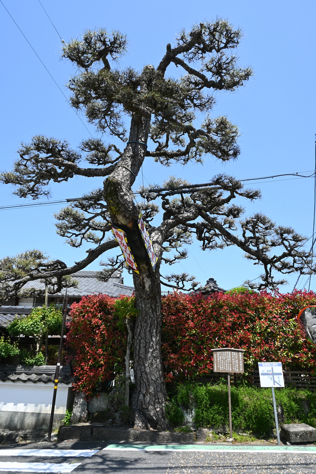 中山道（落合宿）