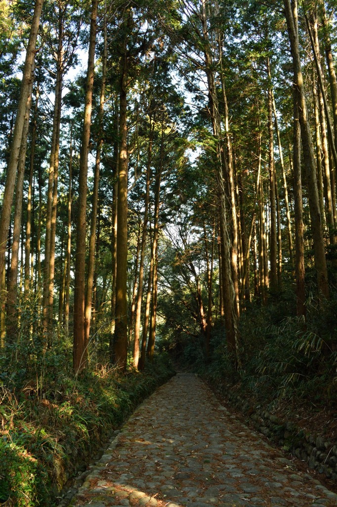 金谷坂