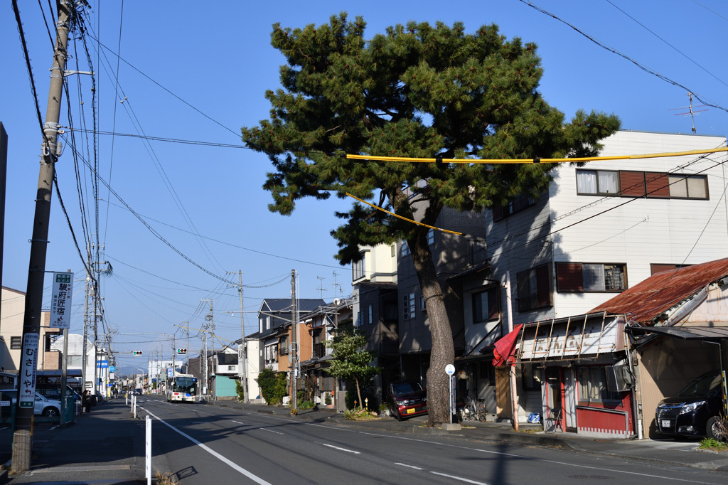 旧東海道
