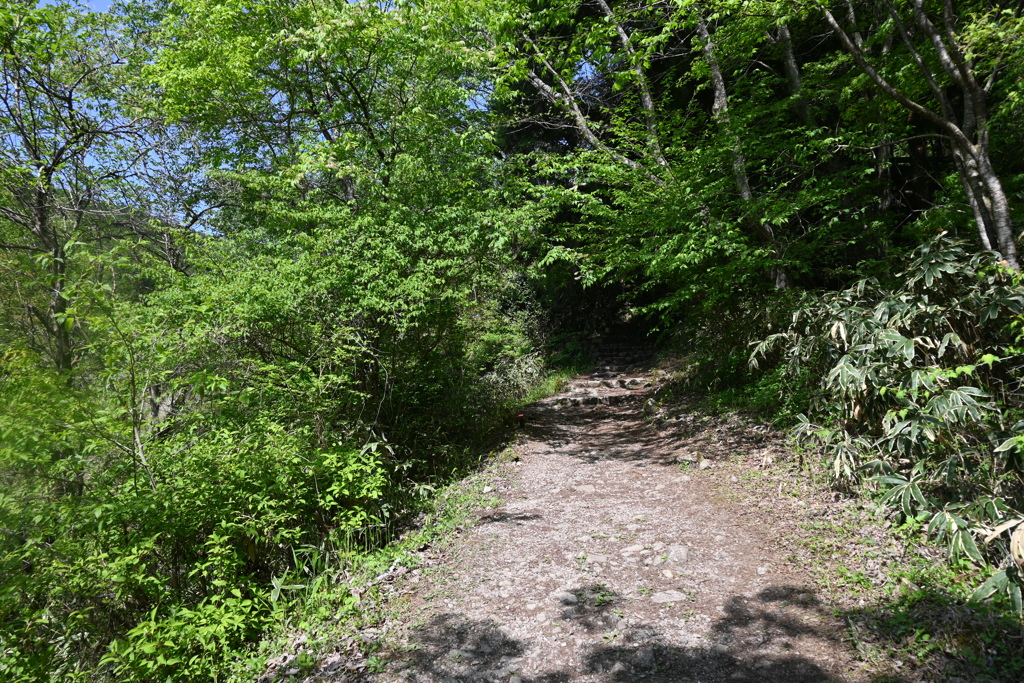 中山道（馬籠宿ー妻籠宿）