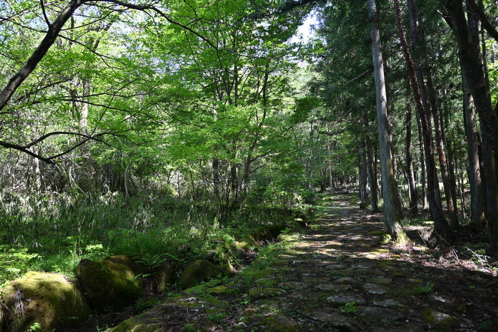 中山道（細久手宿ー大湫宿）