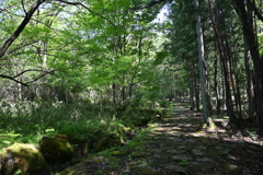 中山道（細久手宿ー大湫宿）