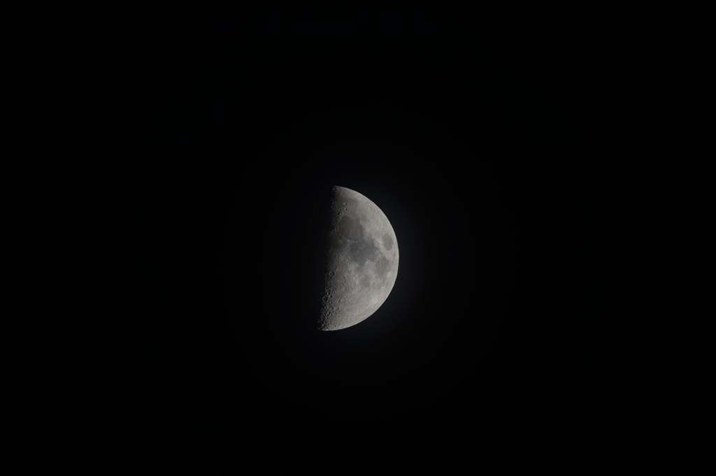 DSC_0290