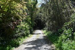中山道（御嶽宿ー細久手宿）