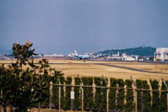 フィルムカメラで飛行機