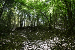 中山道（御嶽宿ー細久手宿）