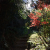 静岡県　宇津谷峠　蔦の細道　紅葉