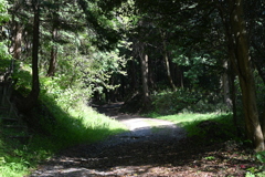 中山道（大湫宿ー大井宿）