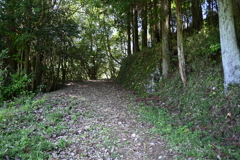 中山道（御嶽宿ー細久手宿）