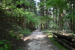 中山道（馬籠宿ー妻籠宿）