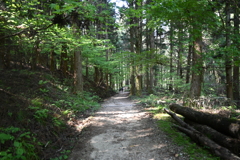 中山道（馬籠宿ー妻籠宿）