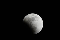 DSC_0460