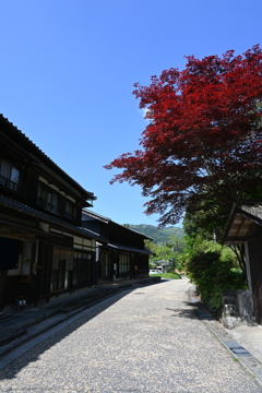 中山道（落合宿ー馬籠宿）