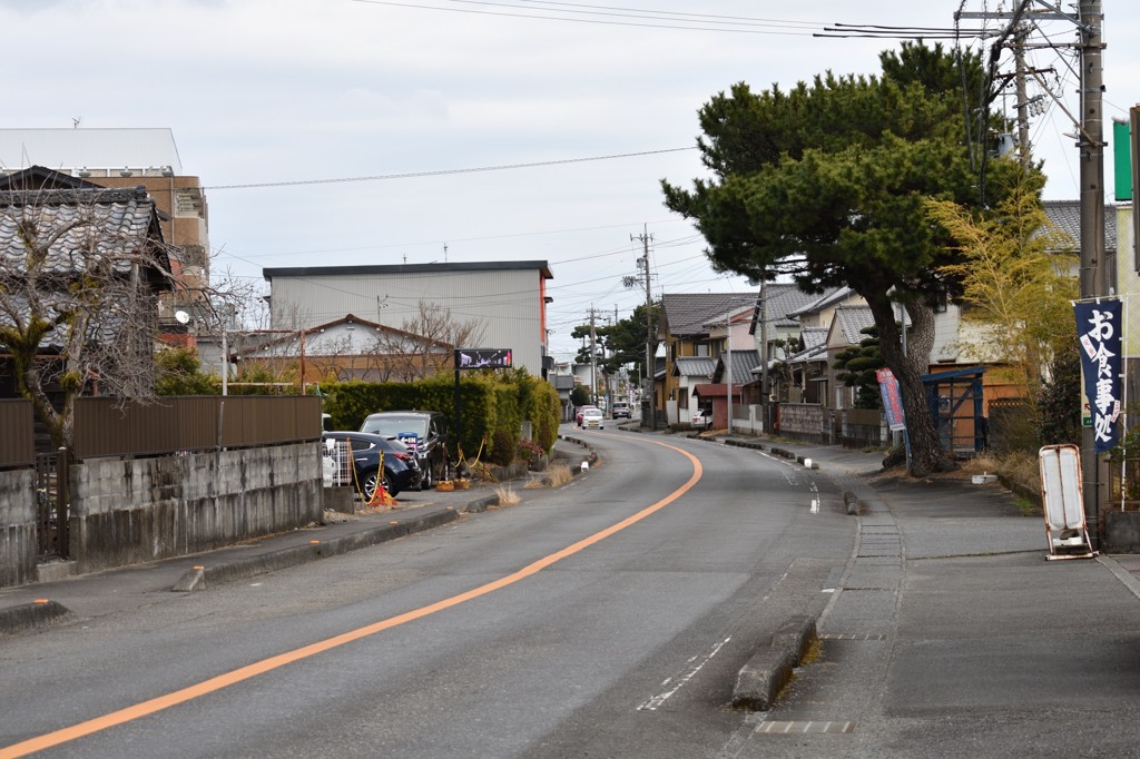 島田宿ー藤枝宿　松並木