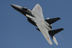 岐阜基地航空祭2016　F-15