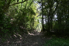 中山道（御嶽宿ー細久手宿）