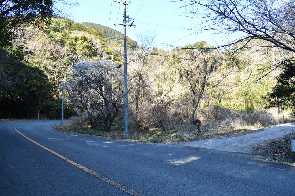 宇津ノ谷峠 明治のトンネルへの分岐