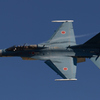 岐阜基地航空祭2015　F-2