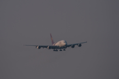 DSC_9499