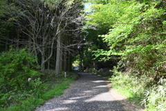 中山道（馬籠宿ー妻籠宿）