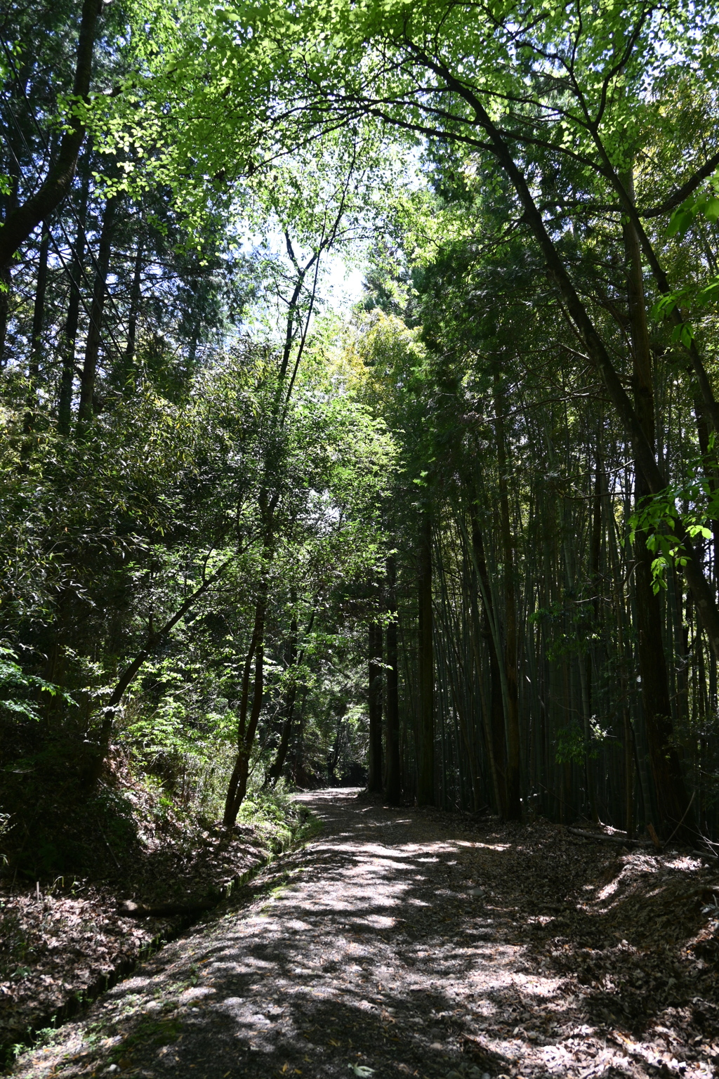 中山道（御嶽宿ー細久手宿）