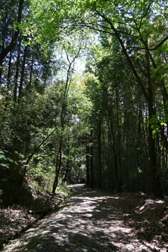中山道（御嶽宿ー細久手宿）