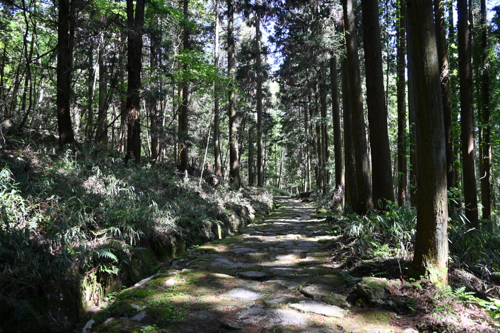 中山道（細久手宿ー大湫宿）