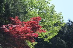 中山道（御嶽宿ー細久手宿）