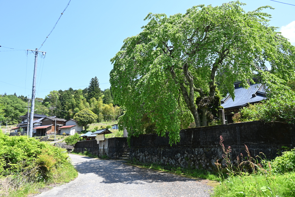 中山道（落合宿ー馬籠宿）