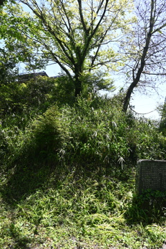 中山道（御嶽宿ー細久手宿）