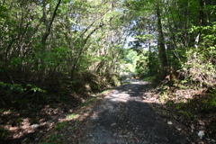 中山道（大湫宿ー大井宿）