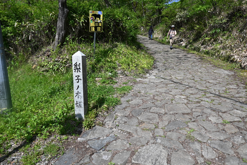 中山道（馬籠宿ー妻籠宿）