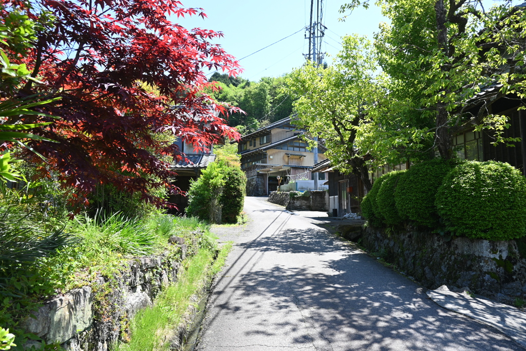 中山道（御嶽宿ー細久手宿）