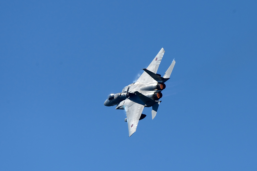 エアフェスタ浜松2016 F-15