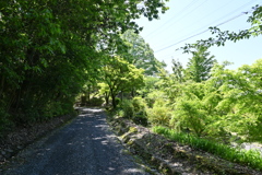 中山道（御嶽宿ー細久手宿）