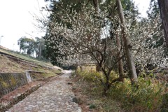菊川坂