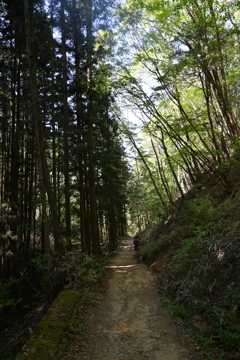 中山道（馬籠宿ー妻籠宿）