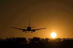 静岡空港の夕日