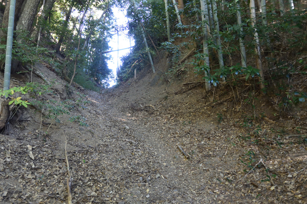 旧東海道　宇津ノ谷峠